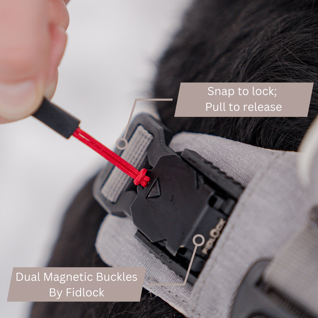 Magnetic Easy-On Harness with Handle