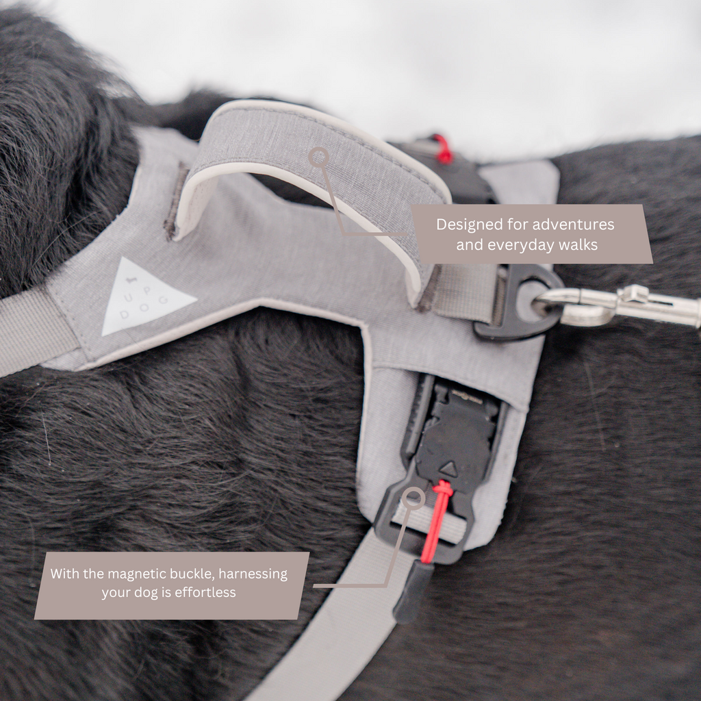Magnetic Easy-On Harness with Handle