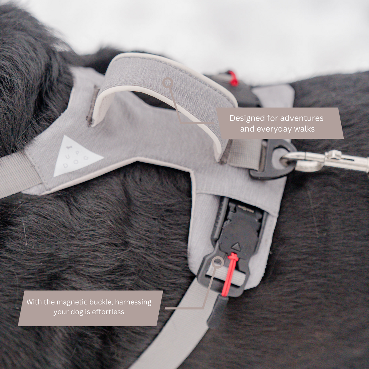 Magnetic Easy-On Harness with Handle