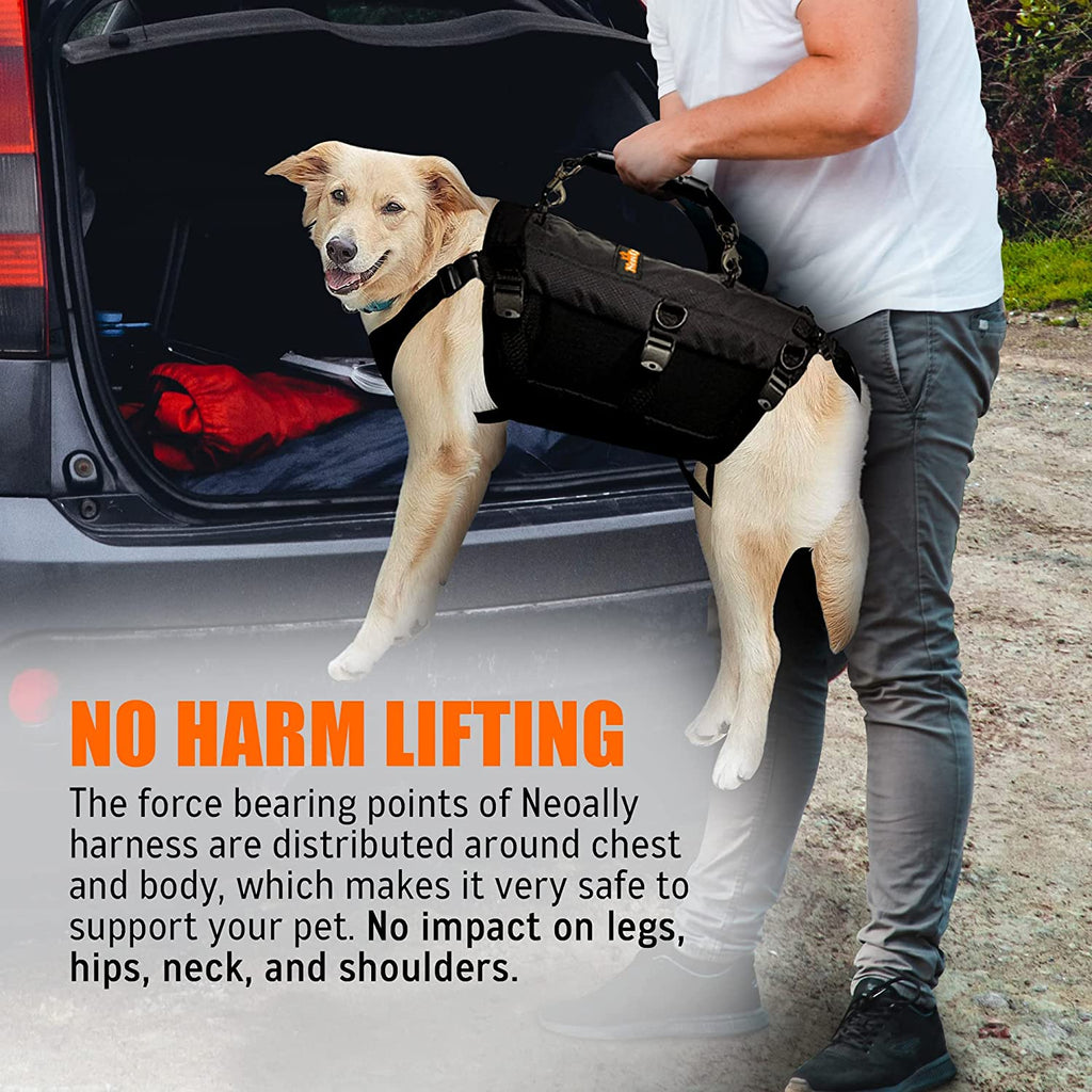 NeoAlly Full-Body Lift Harness