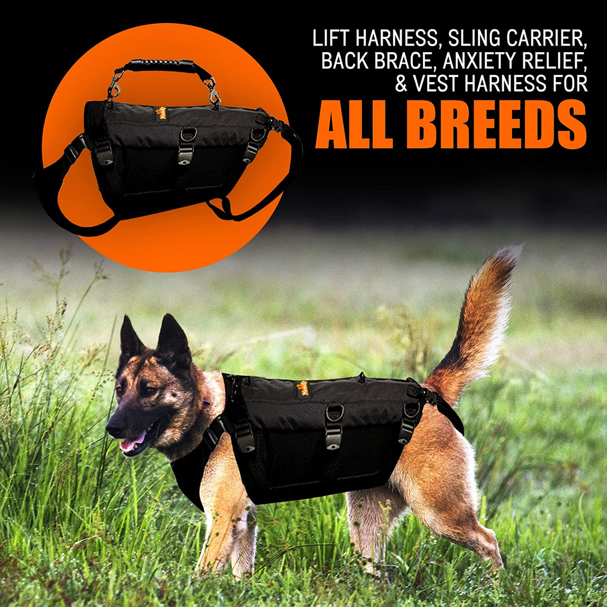 NeoAlly Full-Body Lift Harness