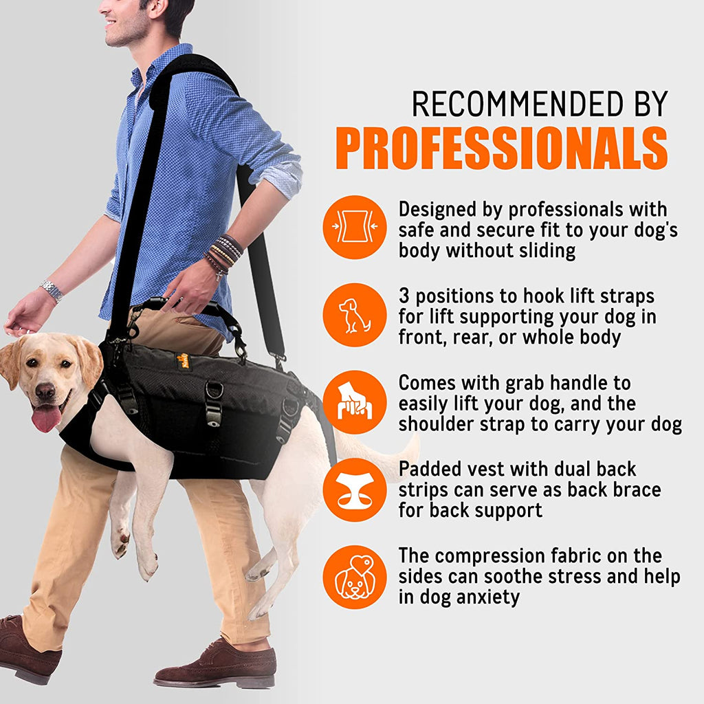 NeoAlly Full-Body Lift Harness