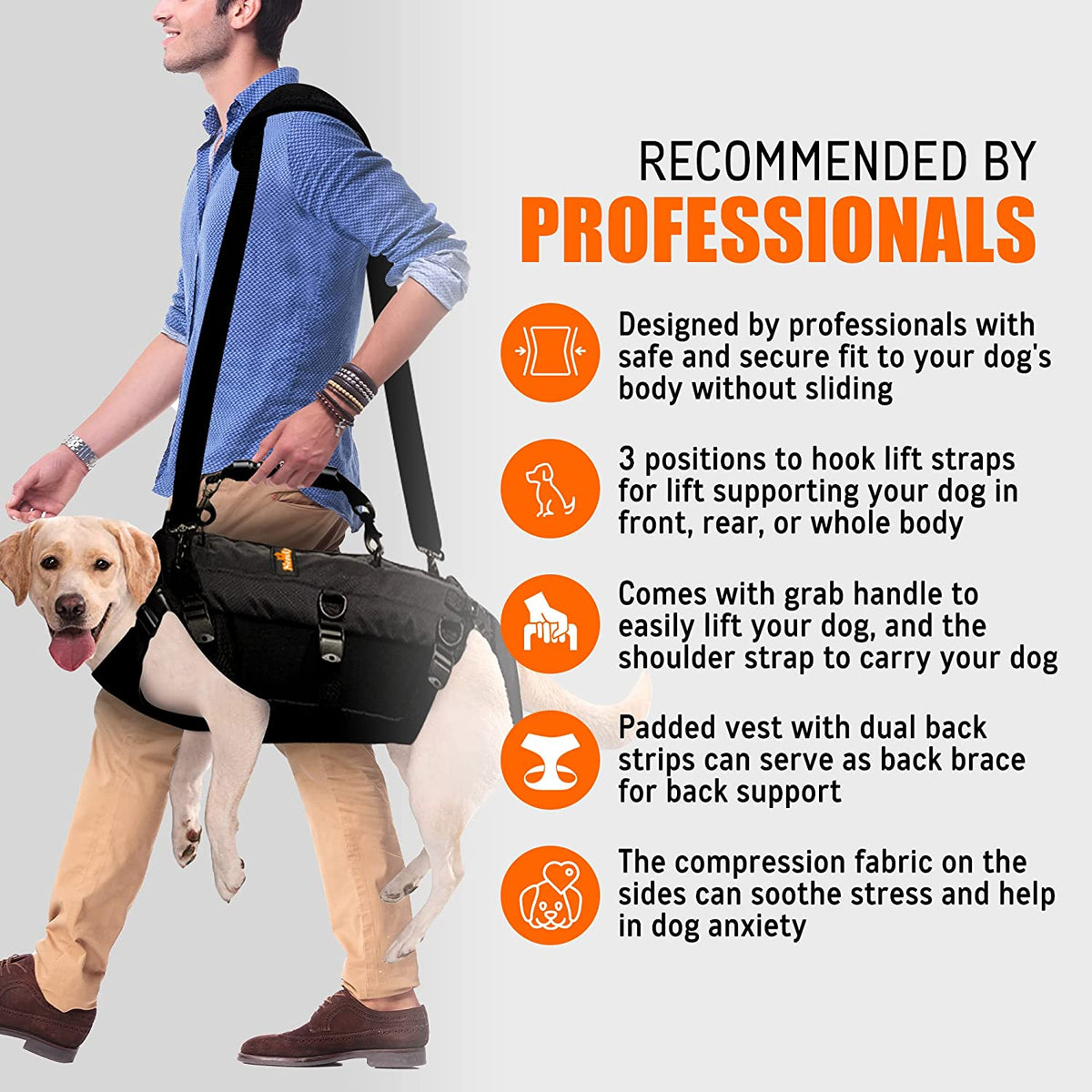 NeoAlly Full-Body Lift Harness