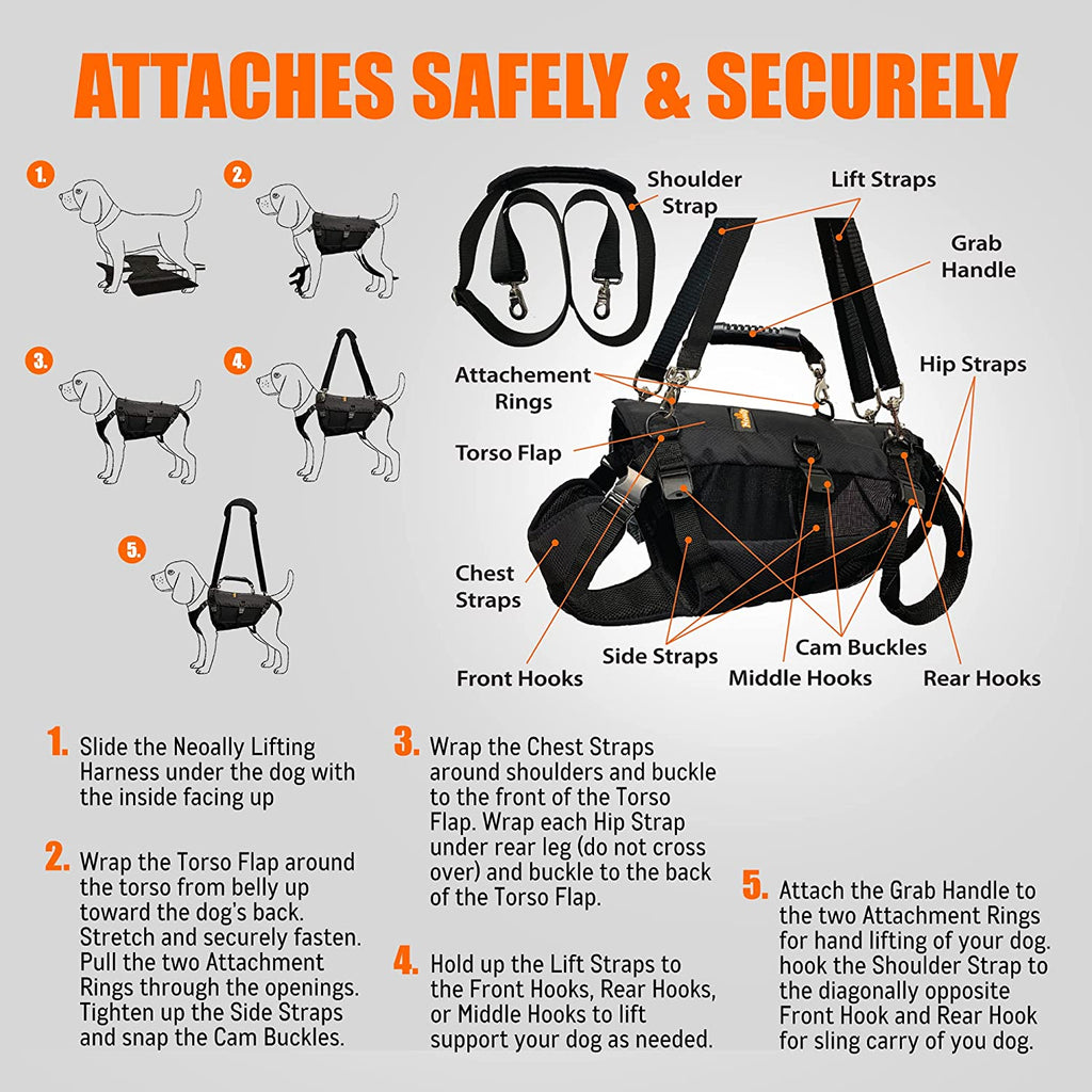 NeoAlly Full-Body Lift Harness