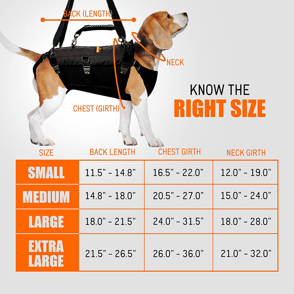 NeoAlly Full-Body Lift Harness
