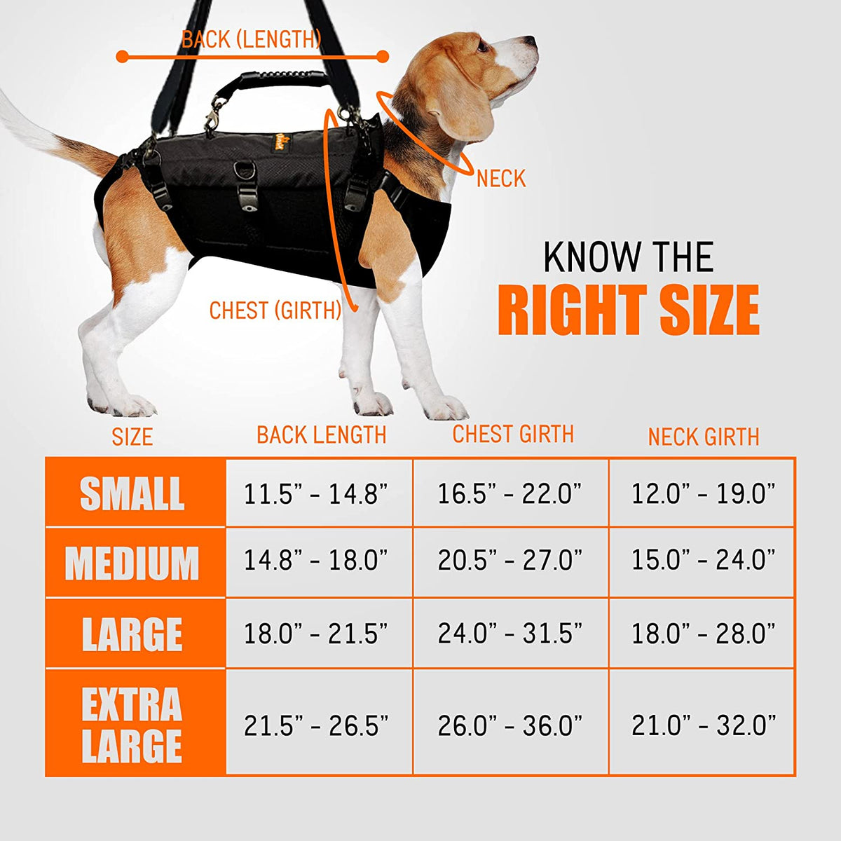 NeoAlly Full-Body Lift Harness