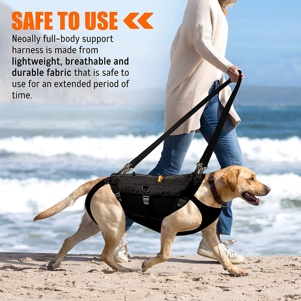 NeoAlly Full-Body Lift Harness
