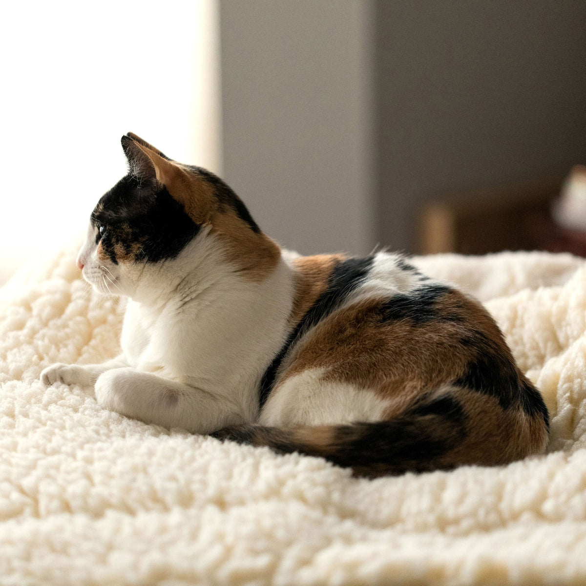 HuggleFleece® Plush Comfort Mat
