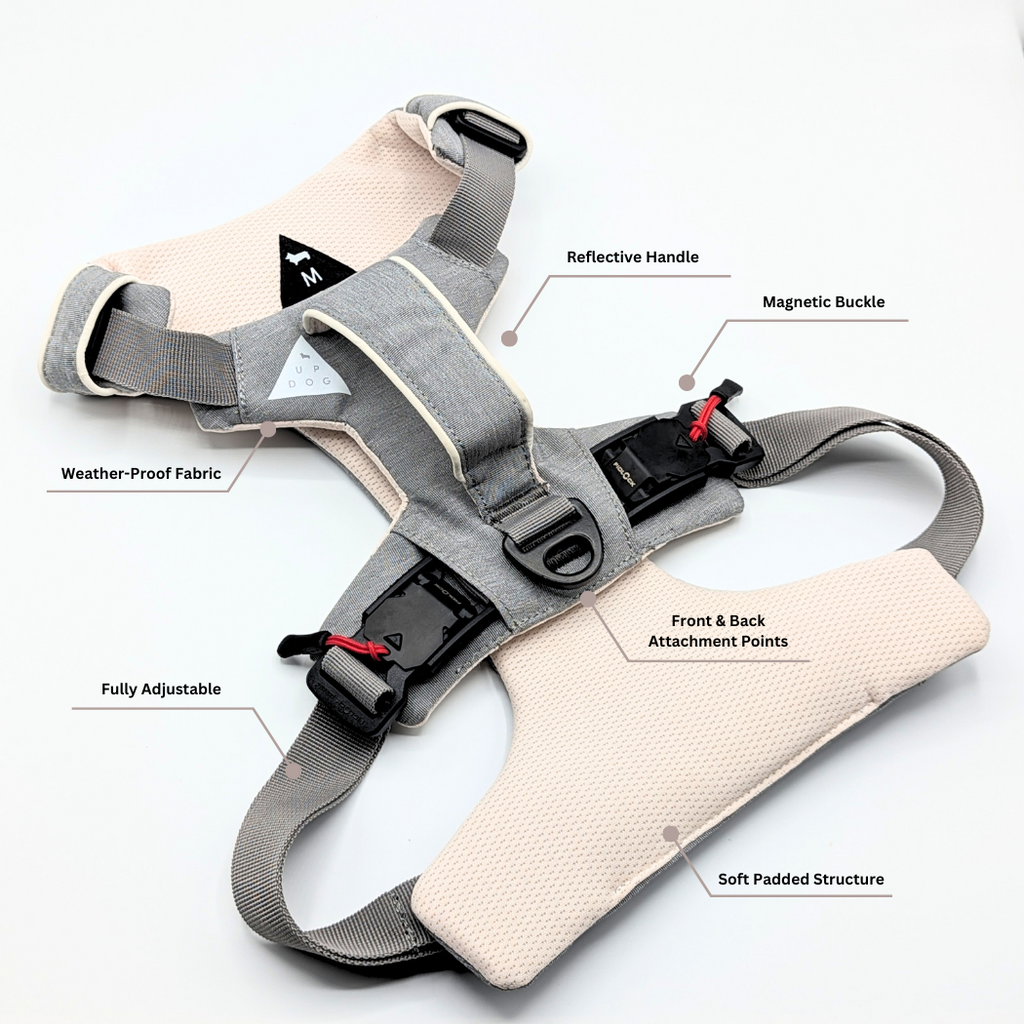 Magnetic Easy-On Harness with Handle