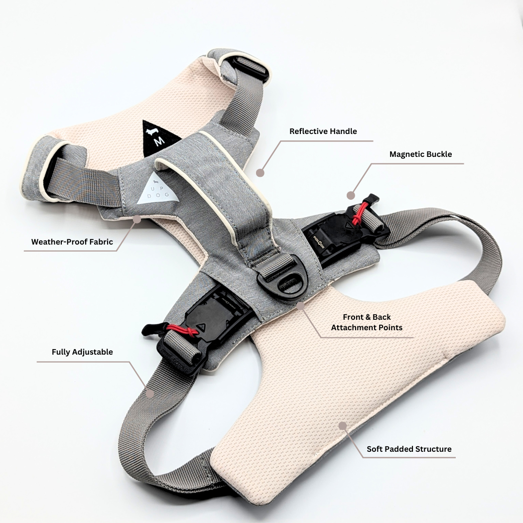 Magnetic Easy-On Harness with Handle