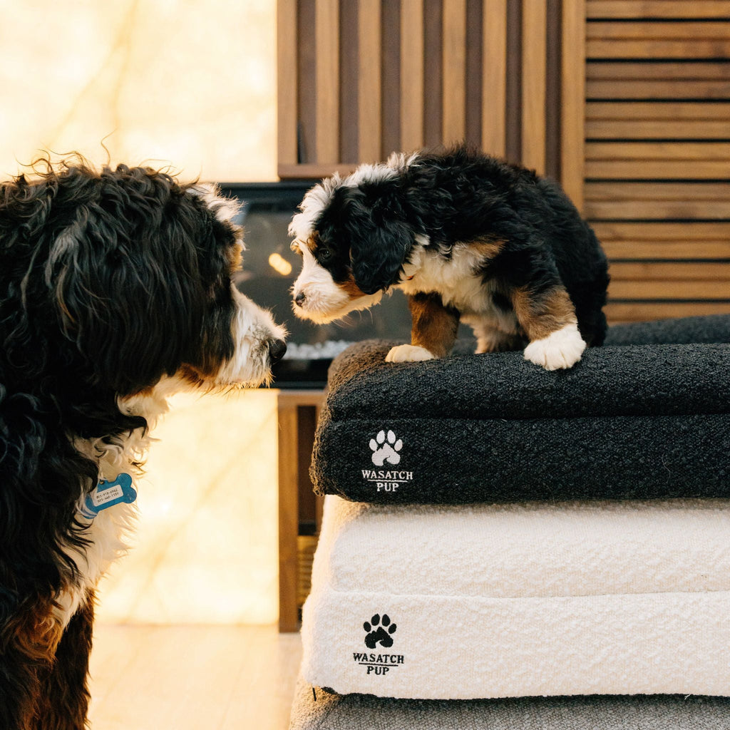 Orthopedic Memory Foam Bolster Bed