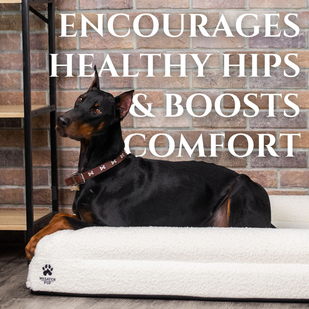 Orthopedic Memory Foam Bolster Bed