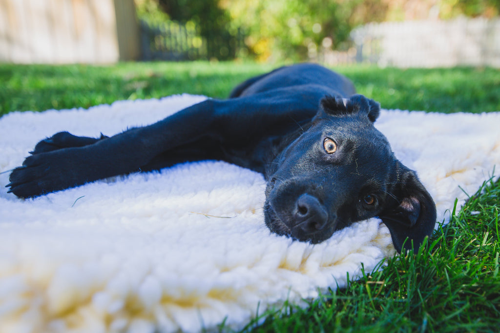 HuggleFleece® Plush Comfort Mat