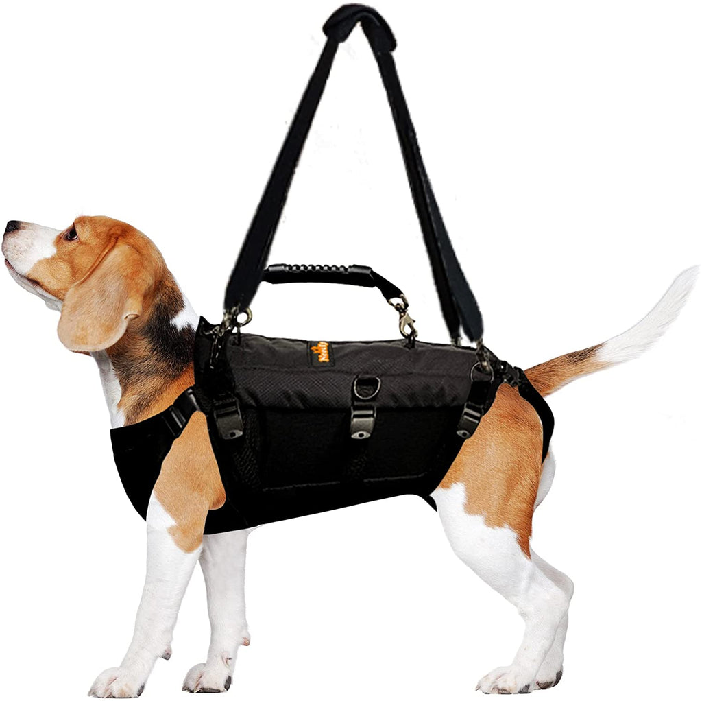 NeoAlly Full-Body Lift Harness