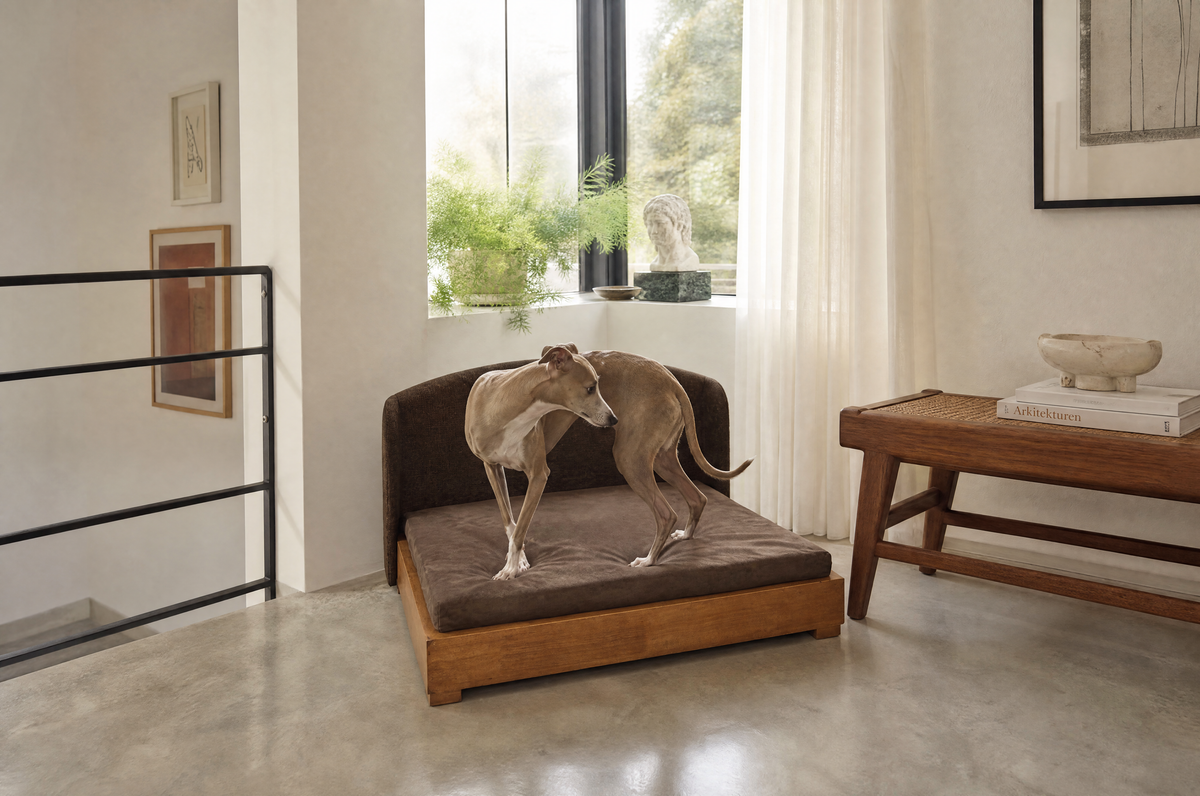 The Haven Hardwood Orthopedic Bed