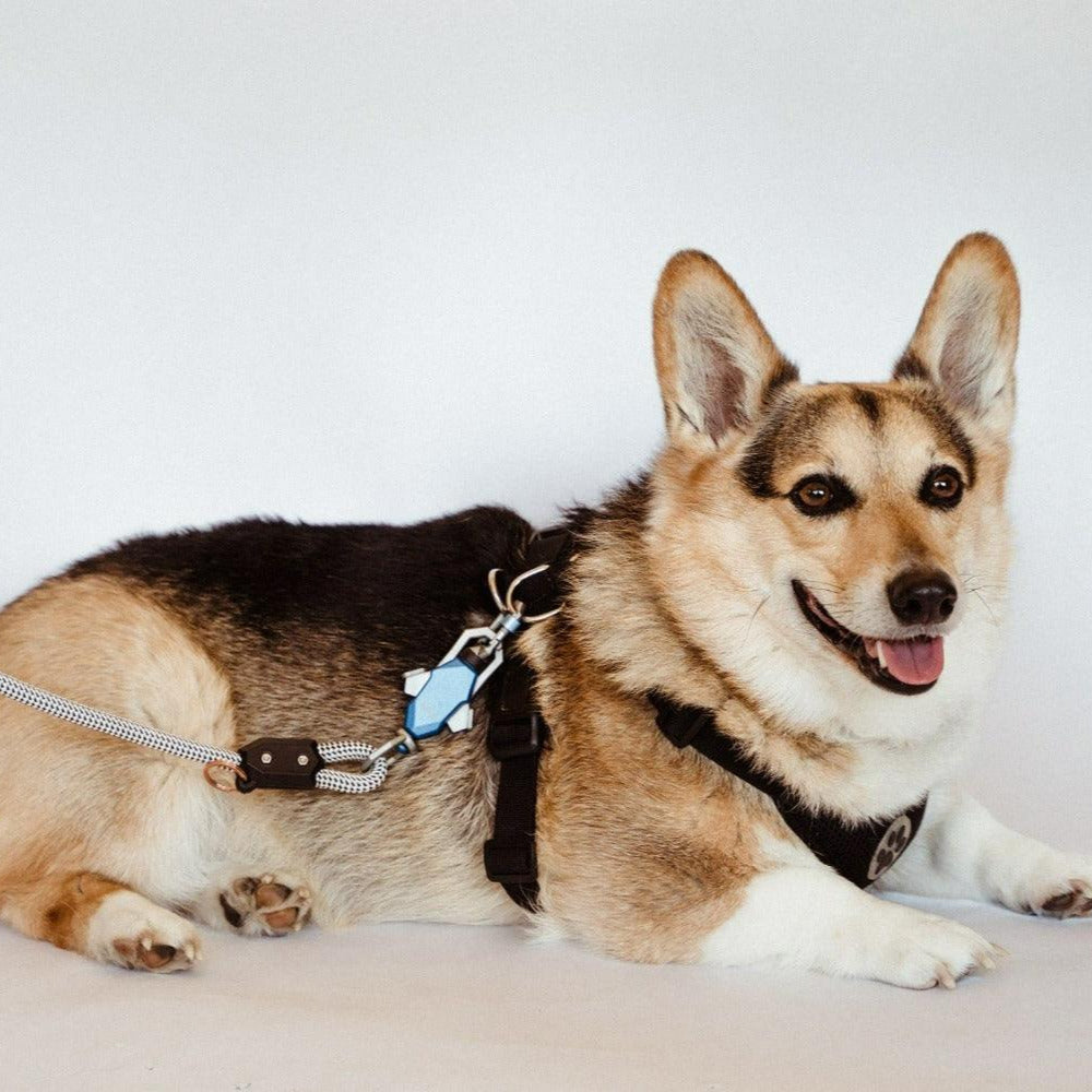 One-Hand Magnetic Leash