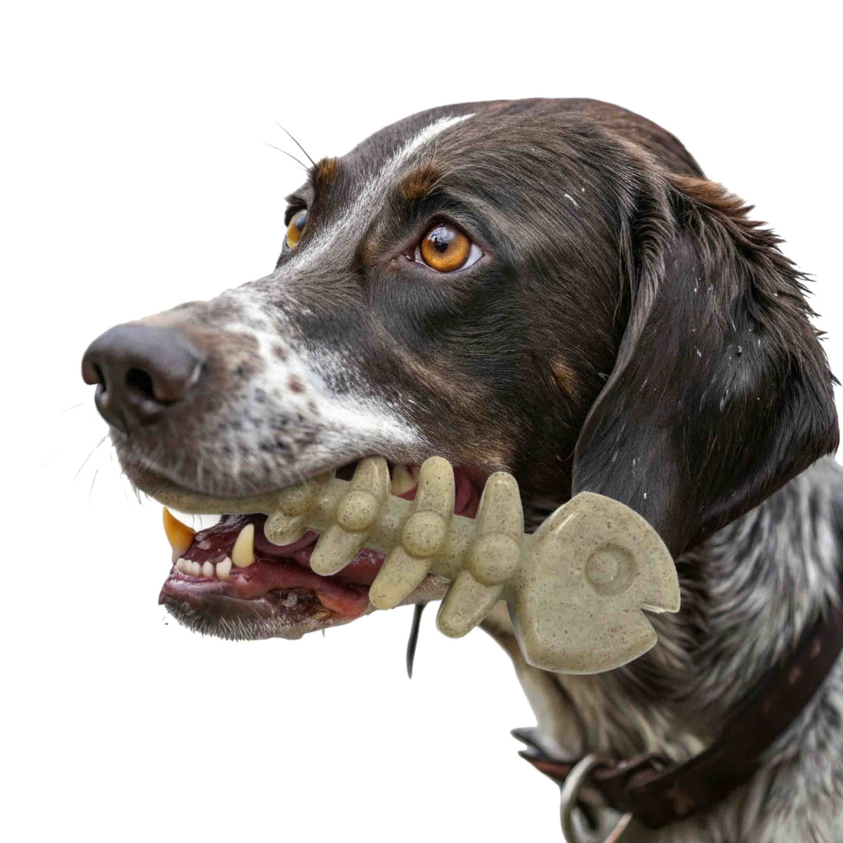 Fish Bone Nylon Chew (SodaPup, USA Made)