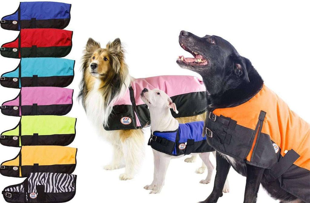 Waterproof Winter Dog Coat
