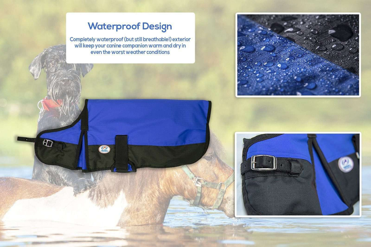 Waterproof Winter Dog Coat