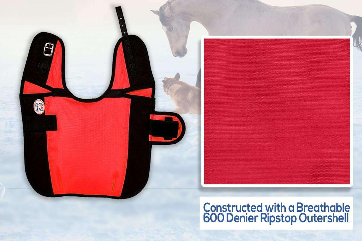 Waterproof Winter Dog Coat
