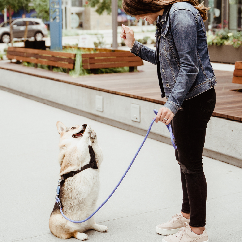 One-Hand Magnetic Leash