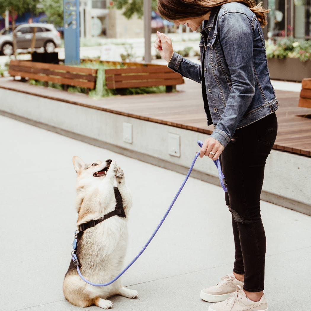 One-Hand Magnetic Leash