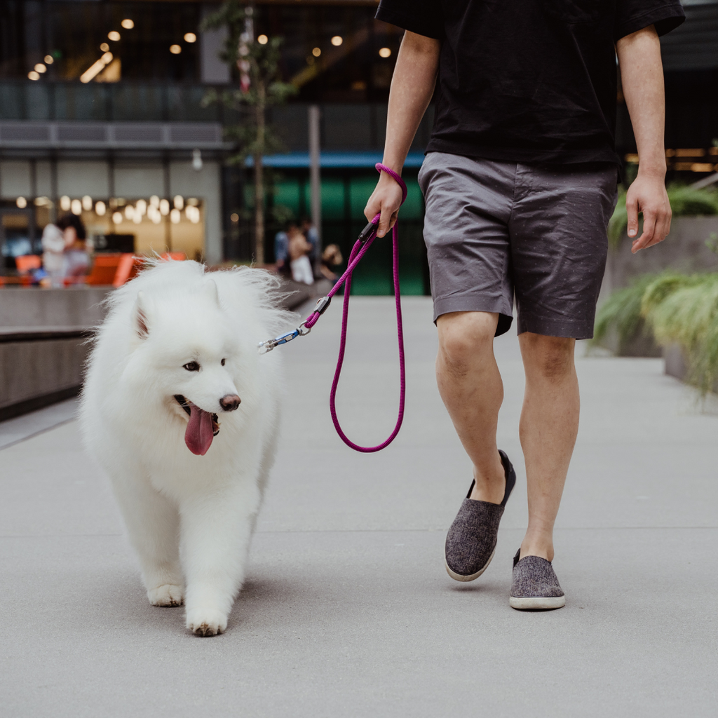 One-Hand Magnetic Leash