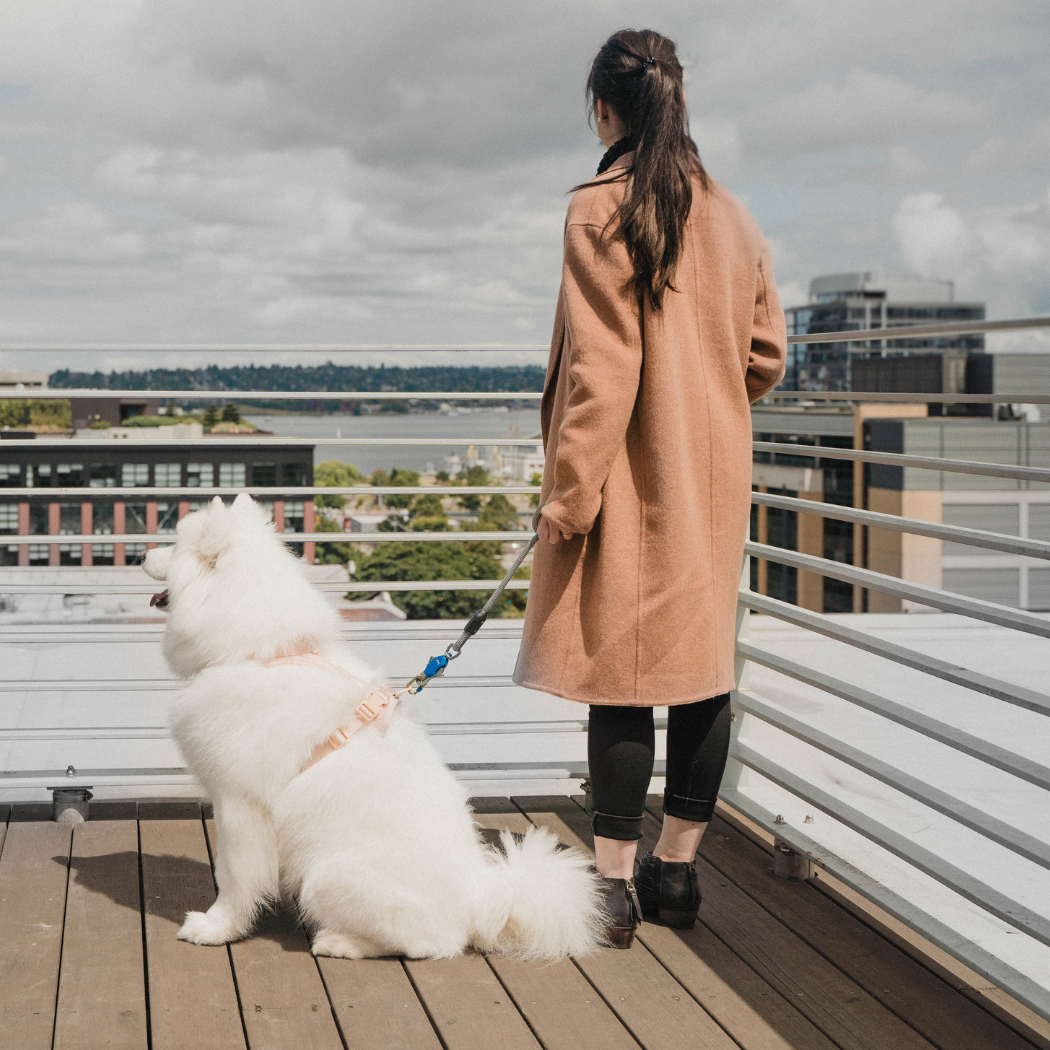 One-Hand Magnetic Leash