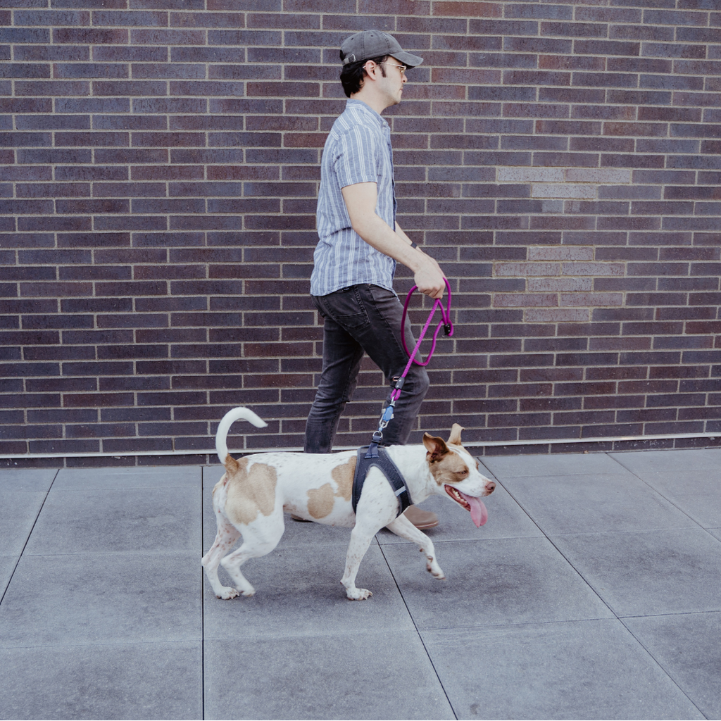 One-Hand Magnetic Leash