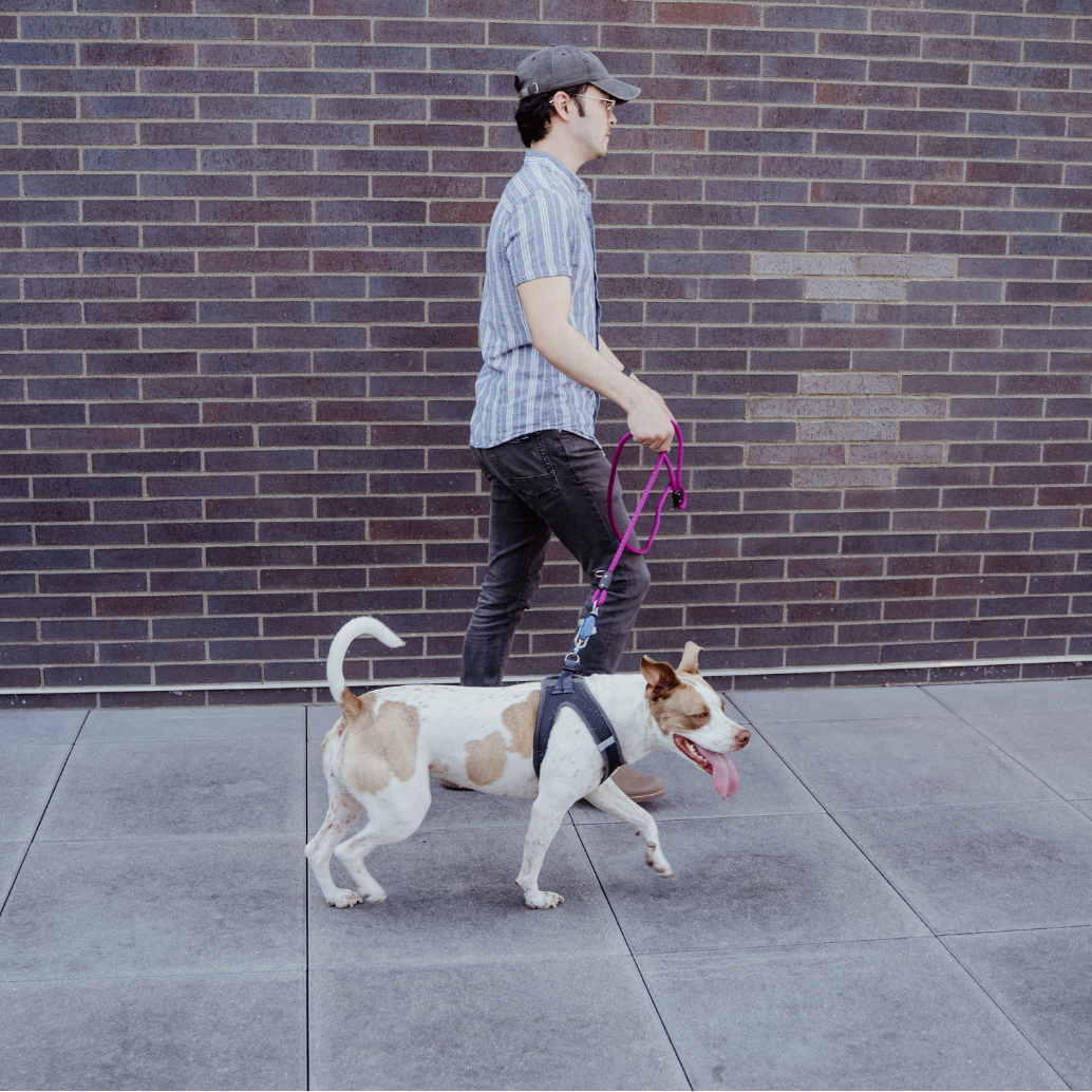 One-Hand Magnetic Leash