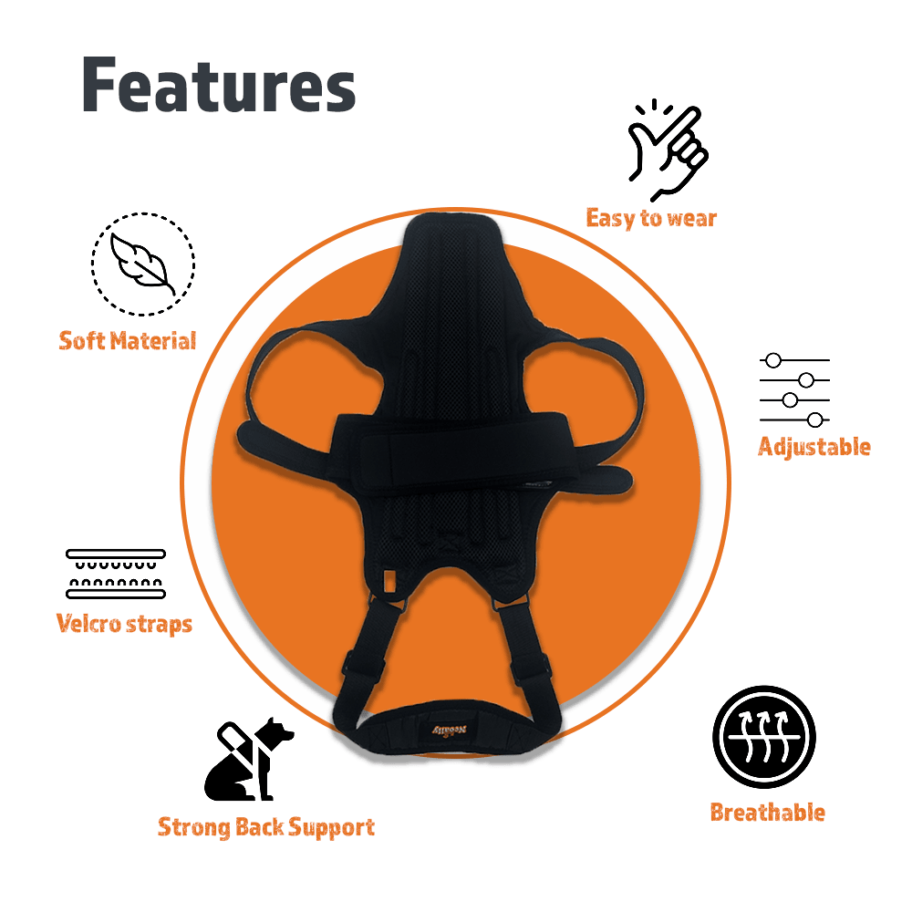 NeoAlly Back Brace with Support Inserts
