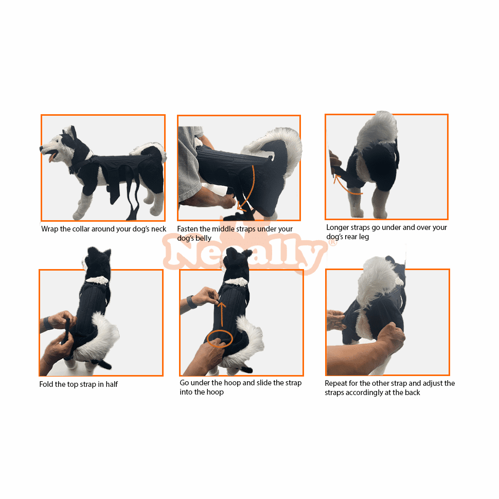 NeoAlly Back Brace with Support Inserts