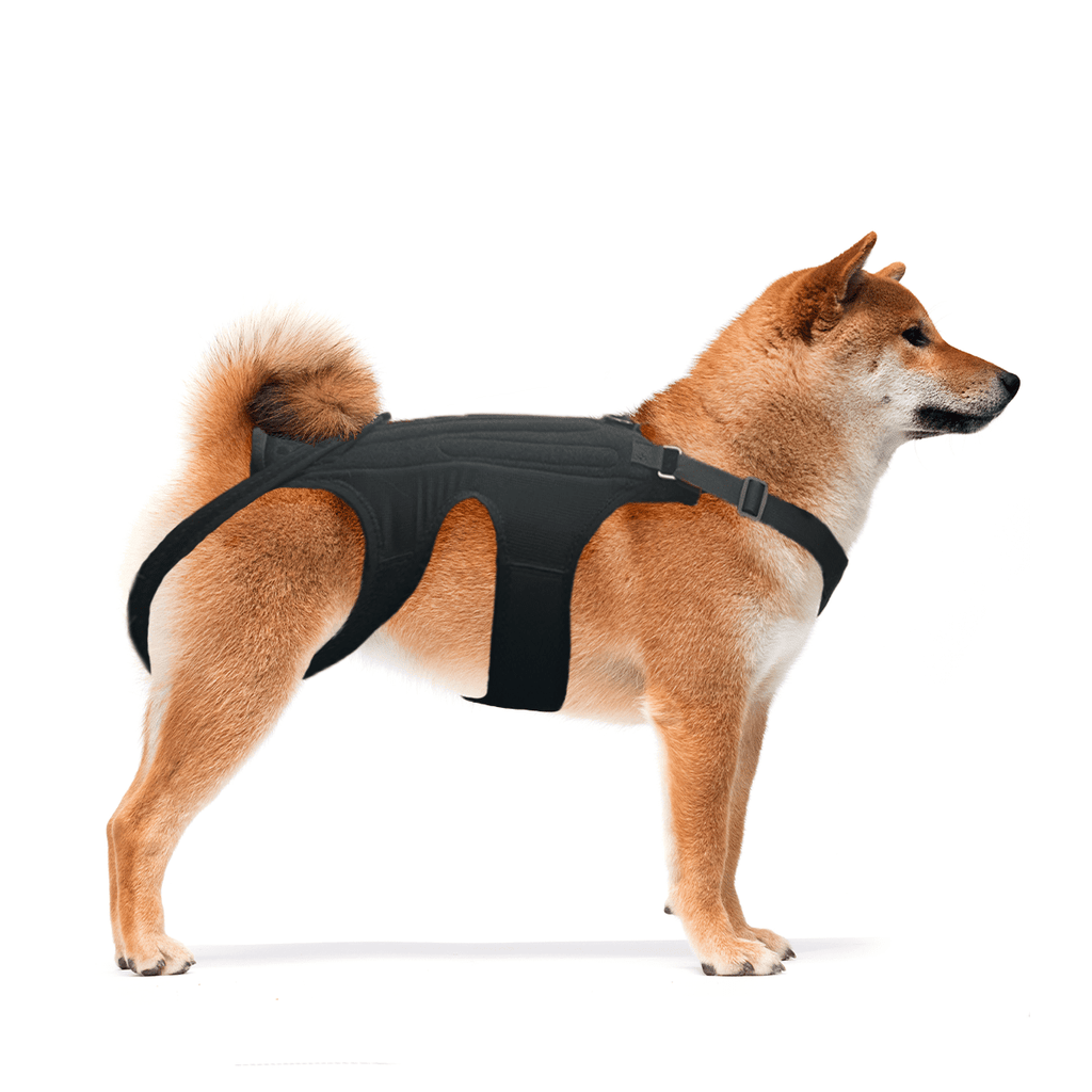 NeoAlly Back Brace with Support Inserts