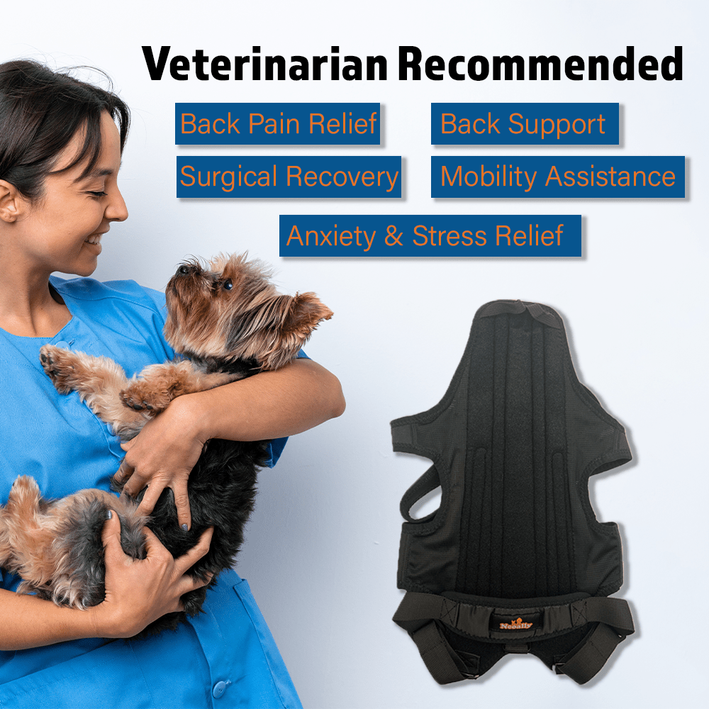 NeoAlly Back Brace with Support Inserts