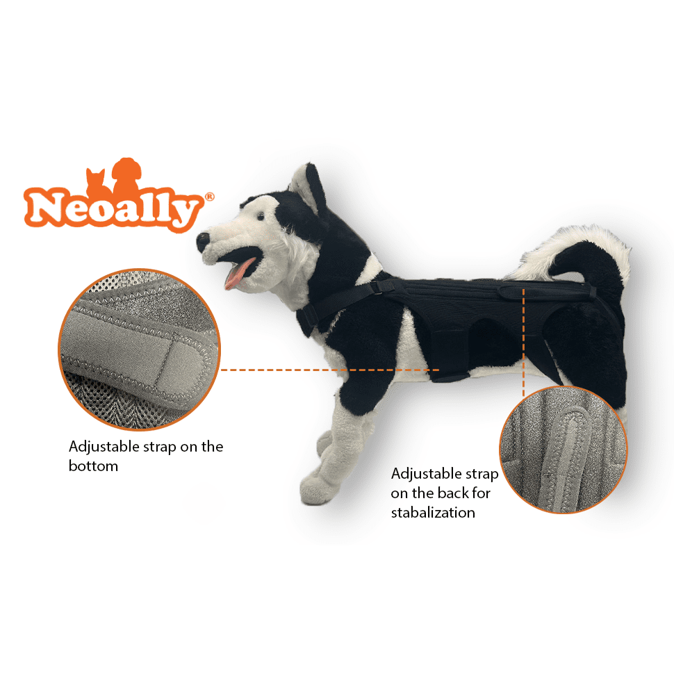 NeoAlly Back Brace with Support Inserts