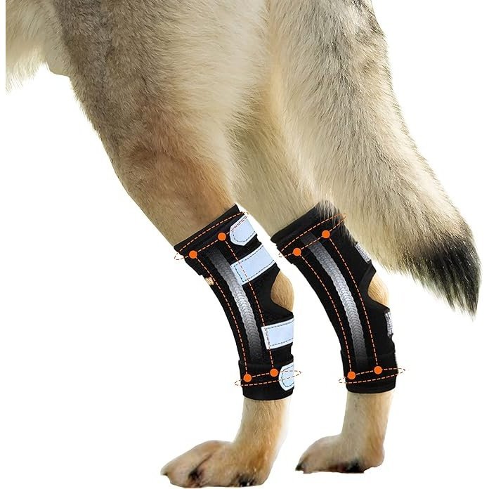 NeoAlly Rear Hock Brace with Metal Stays, Large Dogs (Pair)