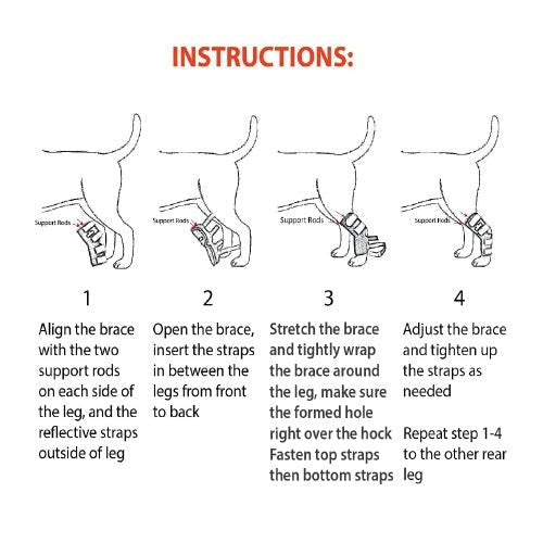 NeoAlly Rear Hock Brace with Metal Stays, Large Dogs (Pair)