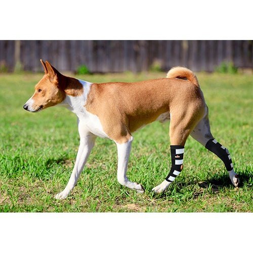 NeoAlly Rear Hock Brace with Metal Stays, Large Dogs (Pair)