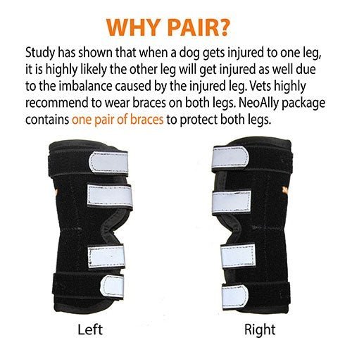 NeoAlly Rear Hock Brace with Metal Stays, Large Dogs (Pair)