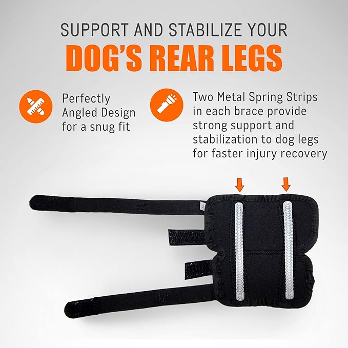 NeoAlly Rear Hock Brace with Metal Stays, Large Dogs (Pair)