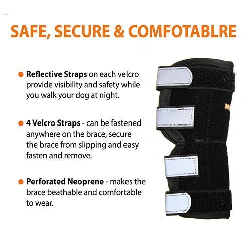 NeoAlly Rear Hock Brace with Metal Stays, Large Dogs (Pair)