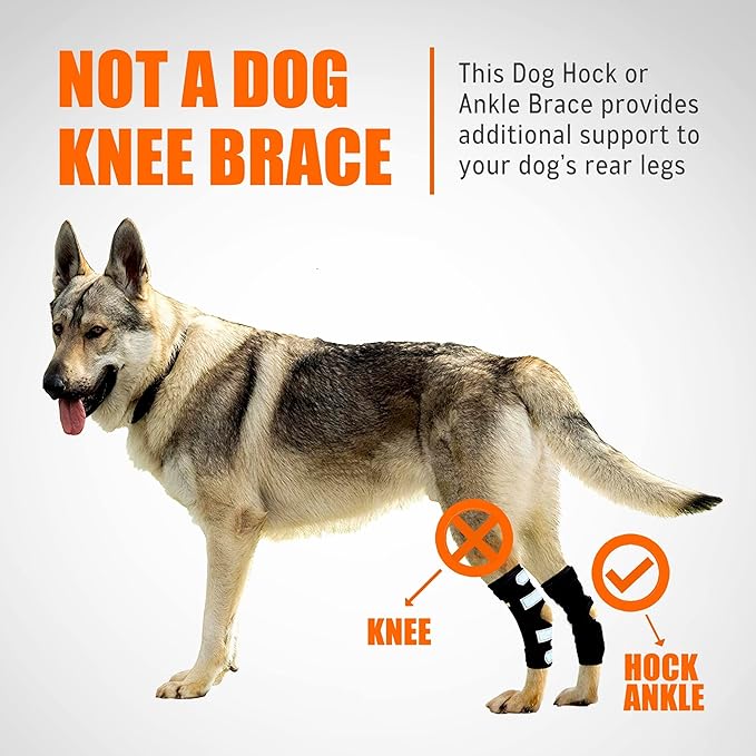 NeoAlly Rear Hock Brace with Metal Stays, Large Dogs (Pair)