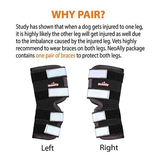 NeoAlly Rear Hock Brace, Large Dogs (Long)