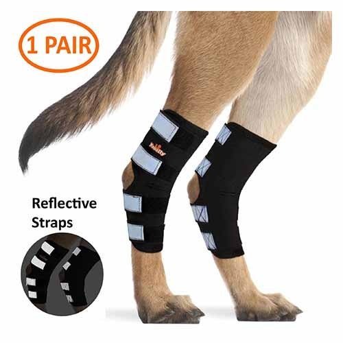 NeoAlly Rear Hock Brace, Large Dogs (Long)