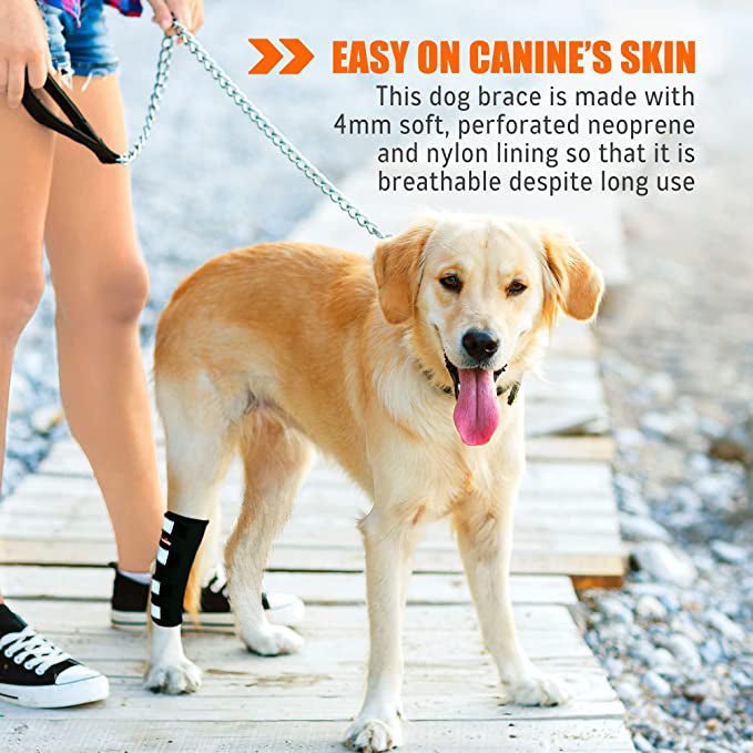 NeoAlly Rear Hock Brace, Large Dogs (Long)