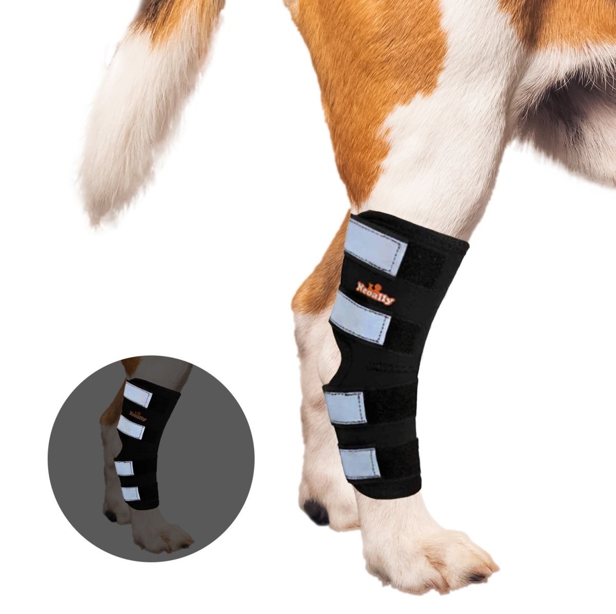 NeoAlly Rear Hock Brace, Large Dogs (Long)