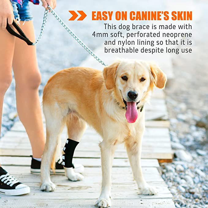 NeoAlly Rear Hock Brace, Large Dogs (Long)