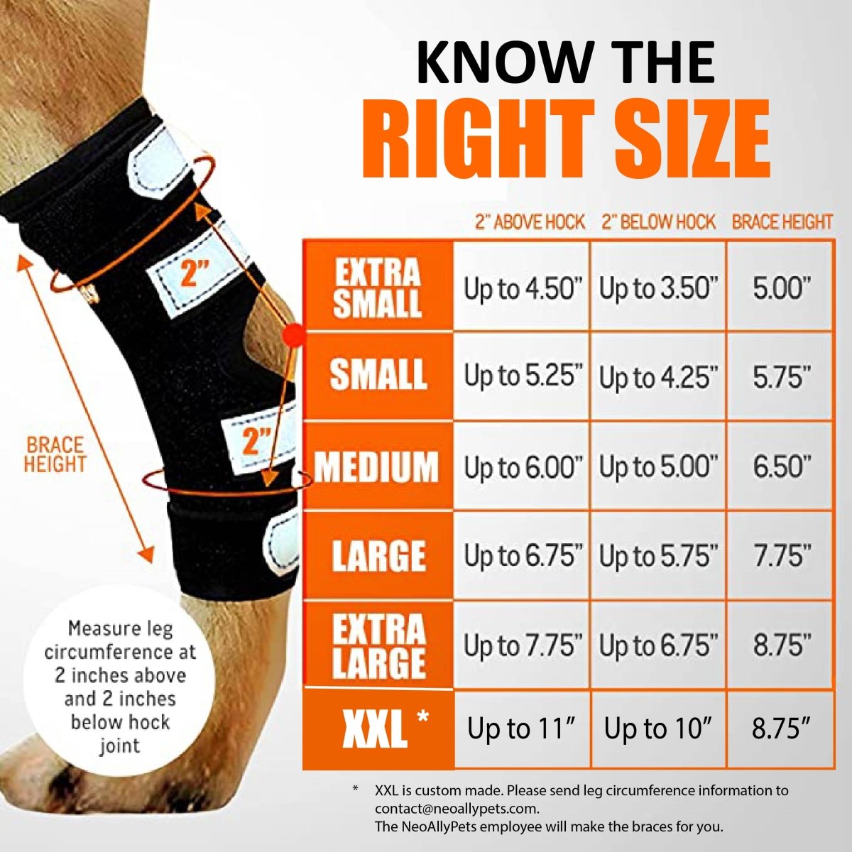 NeoAlly Rear Hock Brace, Large Dogs (Long)