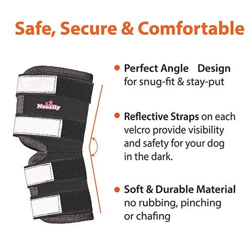 NeoAlly Rear Hock Brace, Large Dogs (Long)