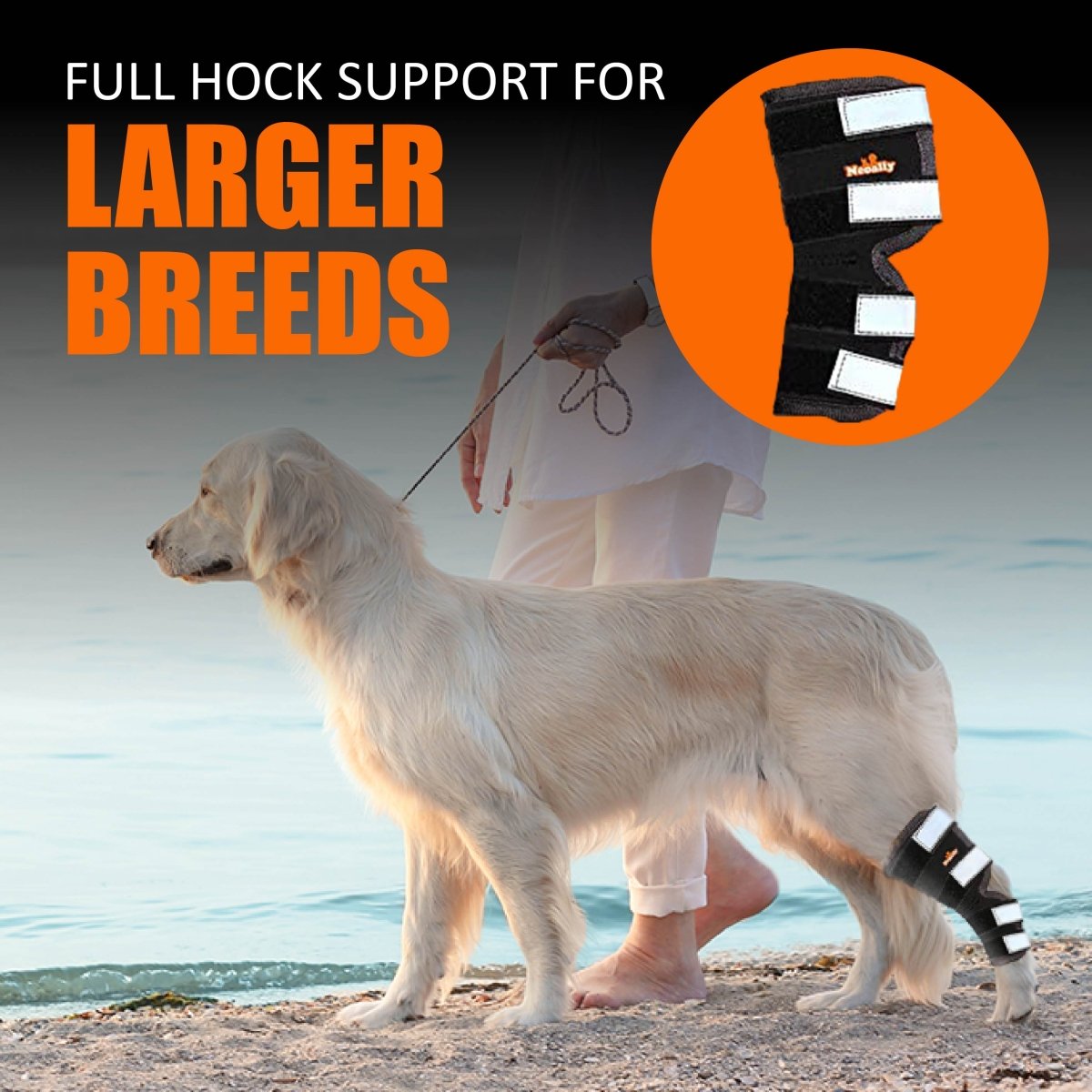 NeoAlly Rear Hock Brace, Large Dogs (Long)
